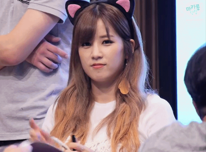 롱냥이.gif | 인스티즈