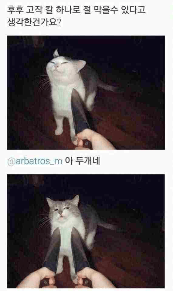 가소롭구나 닝겐 | 인스티즈