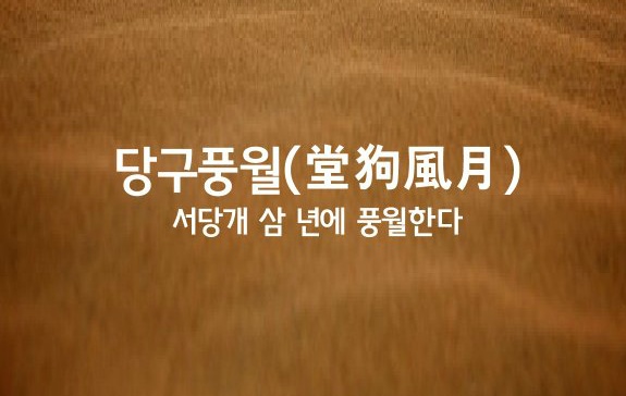 당구풍월 이미지