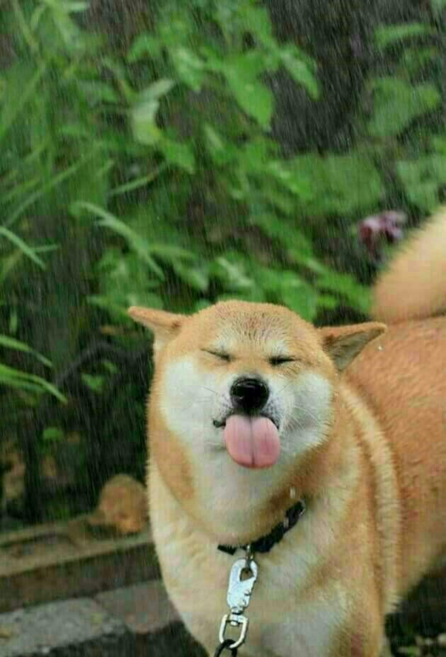 쟁이들 이미지