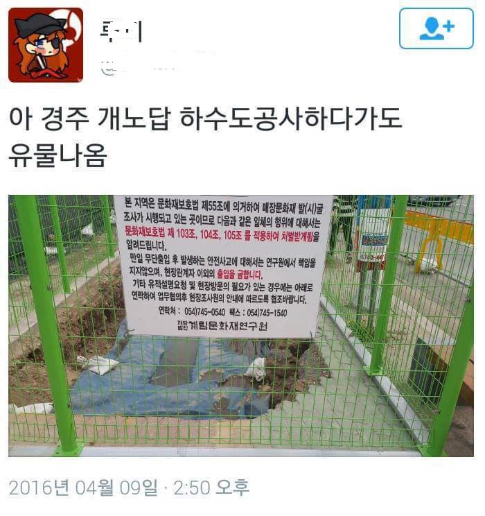 경주의 흔한 일 | 인스티즈