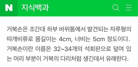 은근히 많은 사람들이 이름 그대로 받아들이는 해산물 | 인스티즈