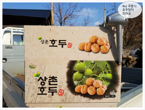 연호두 이미지