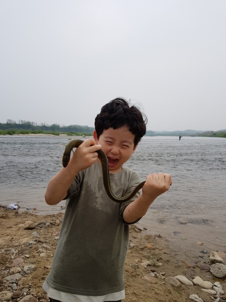 비룡 이미지