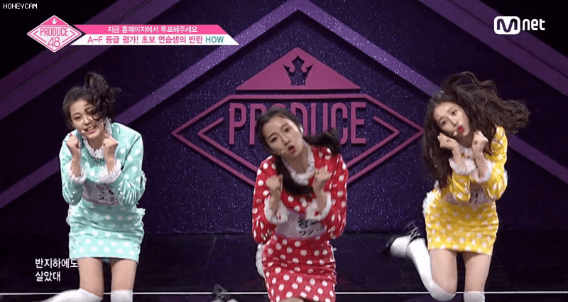 프듀48 신호등 3인방.gif | 인스티즈
