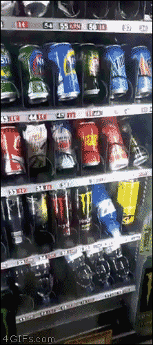 마음이 평화로워지는 짤3.gif | 인스티즈