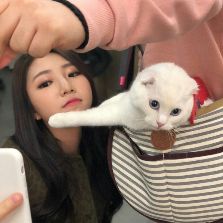 고려대 출신 게임 아나운서ㄷㄷㄷ | 인스티즈