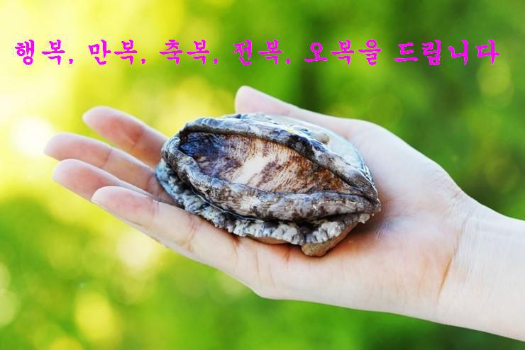 완도상회 이미지