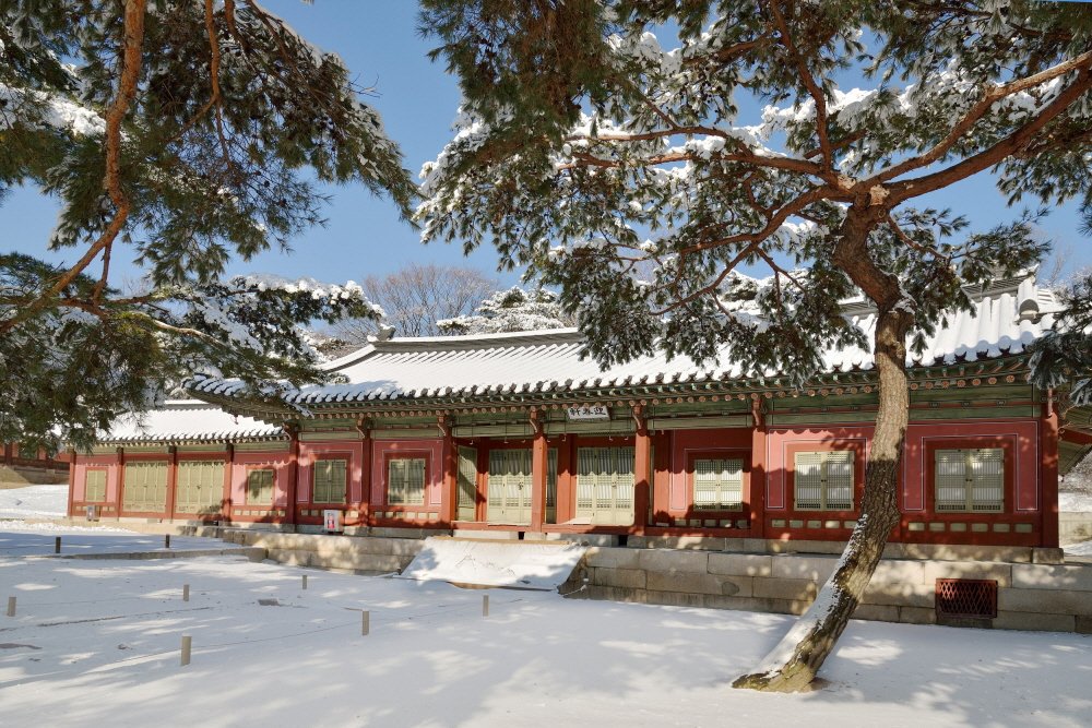 눈 내리는 오늘, 각 문화재청 공식 트위터에 올라온 사진 모음 | 인스티즈