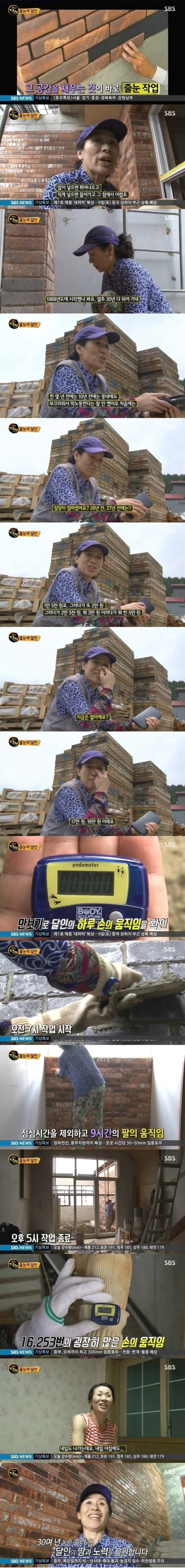 하루일당 51만원 줄눈의 달인 | 인스티즈