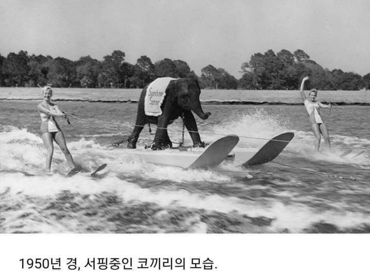 다소 놀랍고 신기한 세계의 희귀사진 | 인스티즈