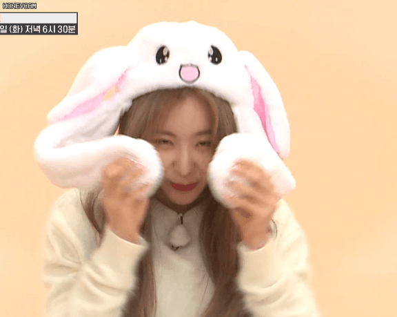 아이즈원 토끼귀모자 움짤1 (아이돌) | 인스티즈
