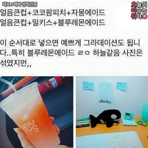 GS편의점에서 먹을 수 있는 음료 조합들!! | 인스티즈