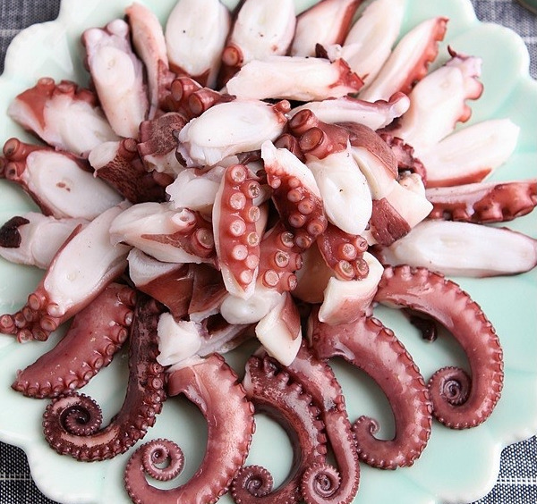 오문어 이미지