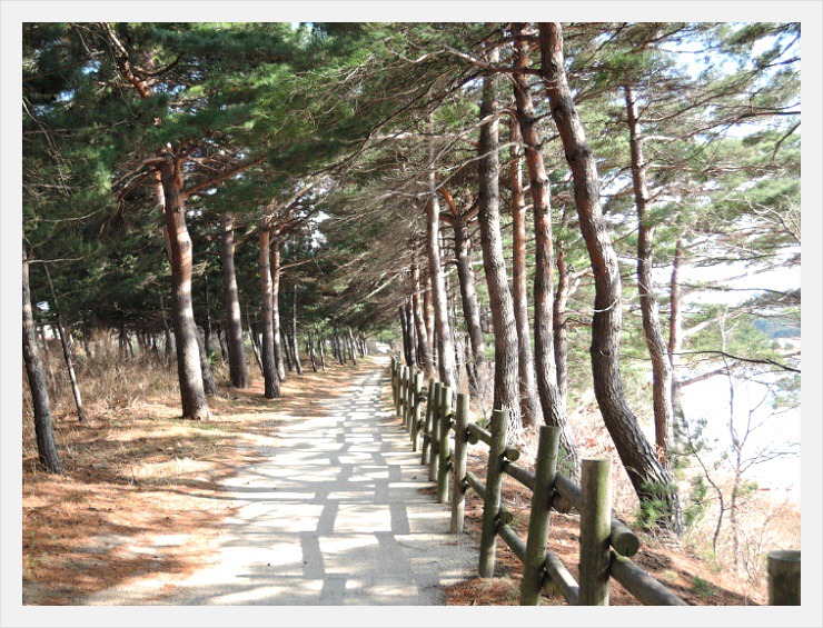 해파랑길 47코스 이미지