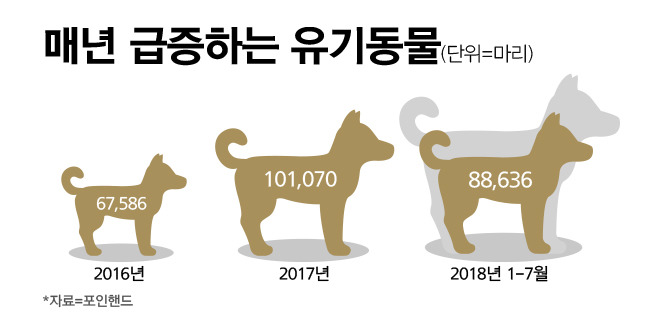 휴가철엔 가족 아니다? 반려동물 하루 330마리씩 버려진다 | 인스티즈