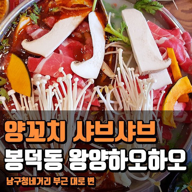 왕양하오하오 이미지