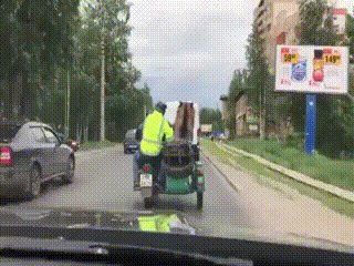 평화로운 불곰국 길거리 일상들 | 인스티즈