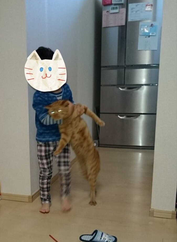 자는데 꼬리밟아서 빡침 | 인스티즈