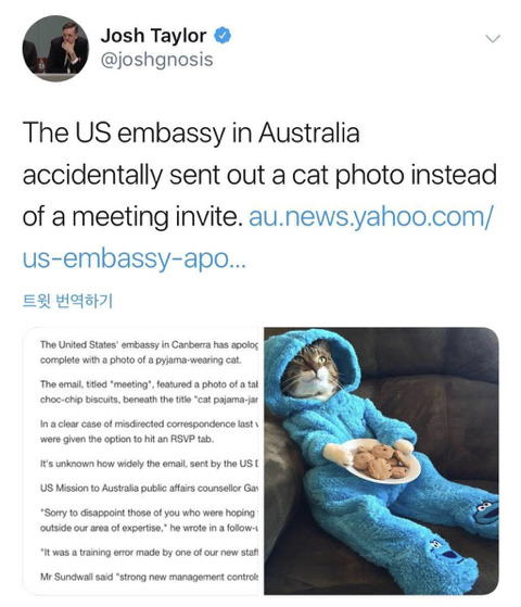실수로 초청장 대신 고양이 사진을 보낸 미국 국무부.jpg | 인스티즈