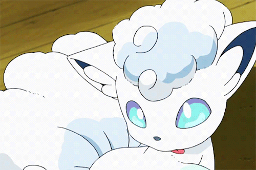 한 귀여움하는 포켓몬 모음.gif | 인스티즈