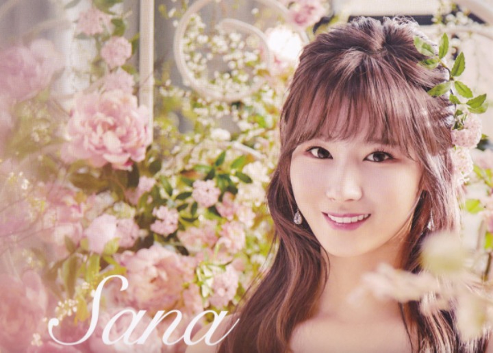 트와이스 9명 웨딩 드레스 (데이터 주의) | 인스티즈