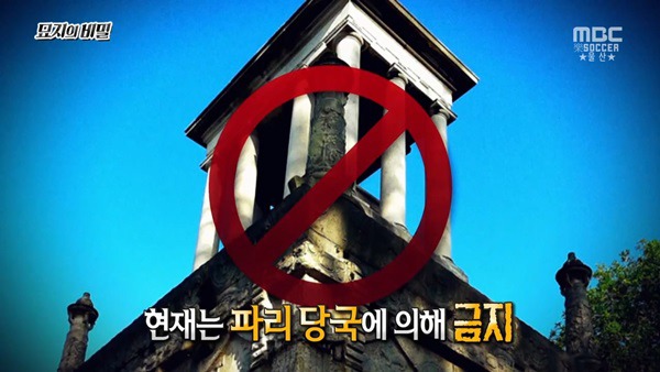  1년만 하면 270억 받는거 도전 한다vs안한다 | 인스티즈