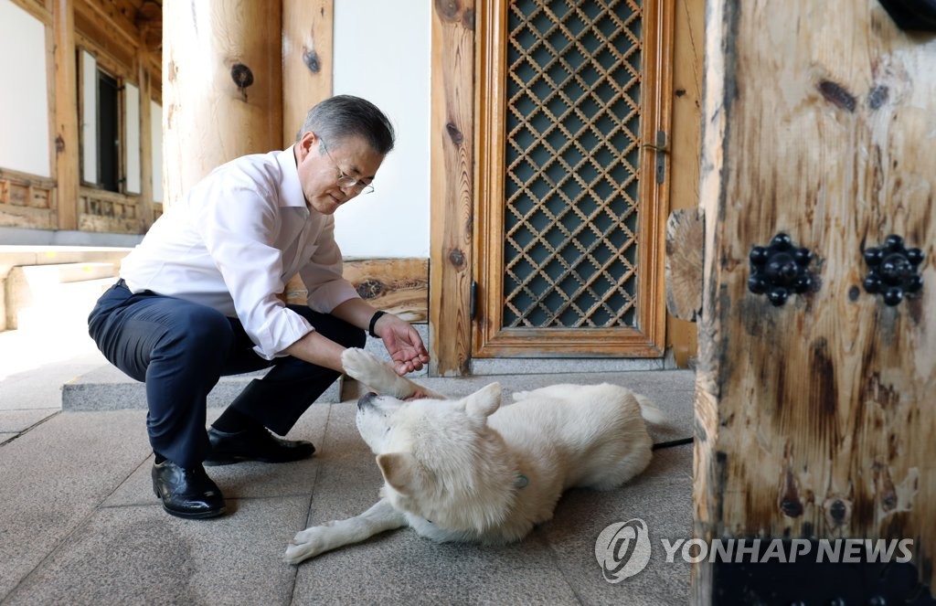 청와대 새식구들 | 인스티즈