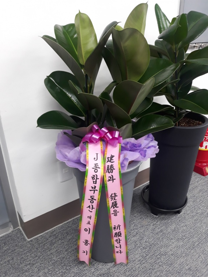 금강엘이디제작소 이미지