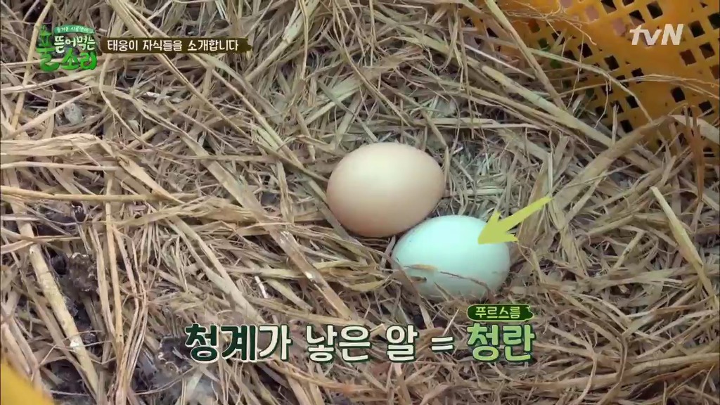 [풀뜯어먹는소리] 닭에서 시작해 소까지 살 수 있게 된 중딩농부 태웅.jpg | 인스티즈
