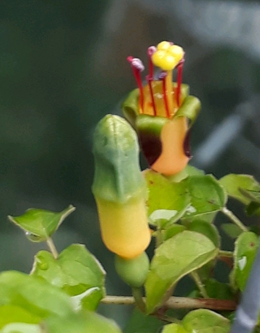 프로컴 이미지