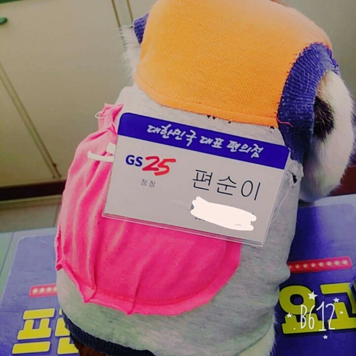 어린(?) 나이에 편의점 점장이 되었다 | 인스티즈