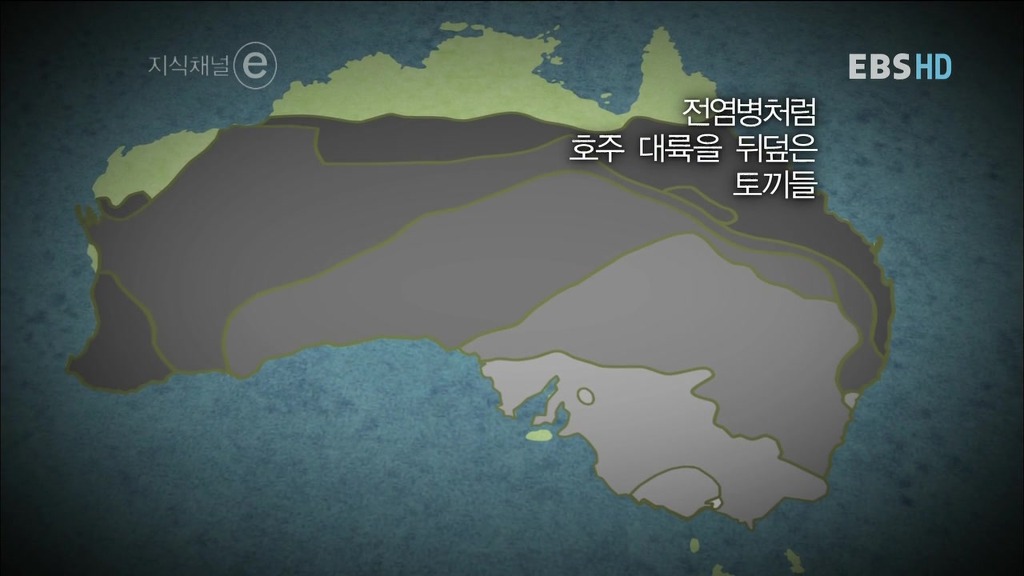 호주의 토끼전쟁 | 인스티즈