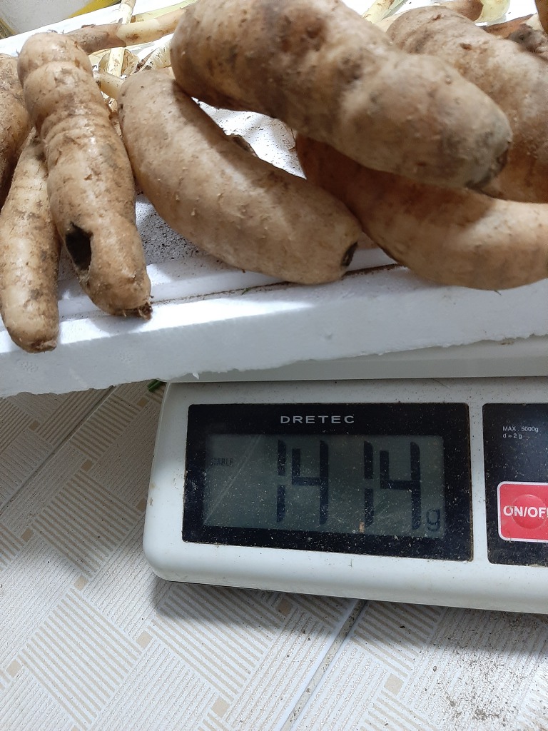 천마통신 이미지