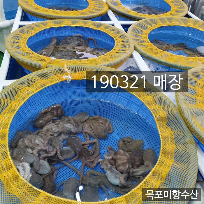 홍어랑 낙지랑 이미지