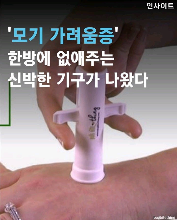올여름 핫아이템 | 인스티즈