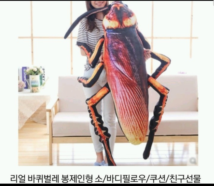 여친이 선물을 한다면? 버린다 vs 잘쓴다 | 인스티즈