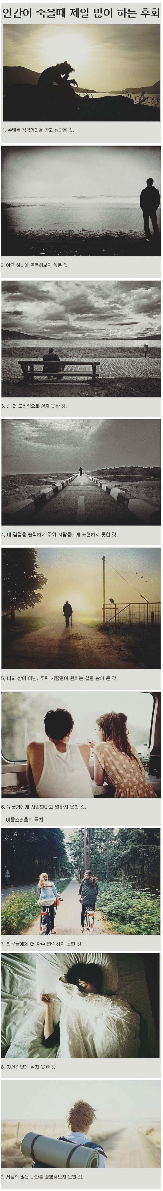 죽을때 가장 많이 후회하는것 | 인스티즈