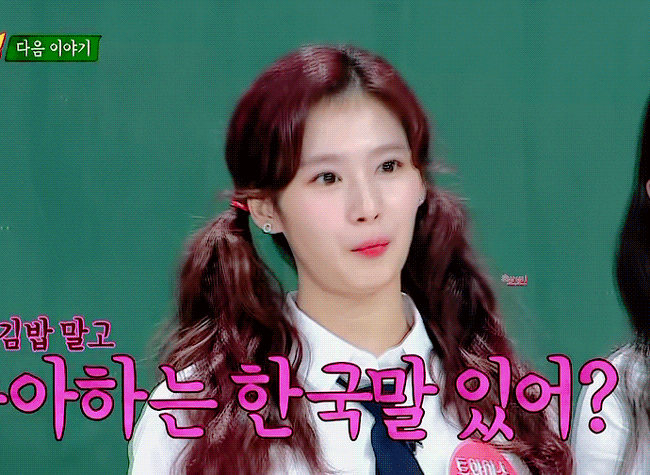 시바견인가 다람쥐인가....... 사나 | 인스티즈