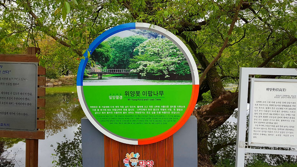 화개골 이미지