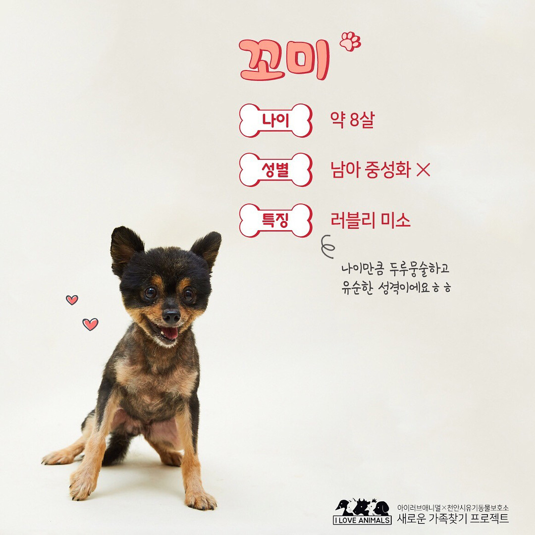 우리는 언제 가족이 생기나요? 사지 말고 입양하세요! | 인스티즈
