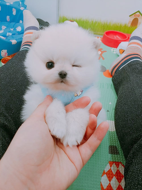 몽글몽글 이미지