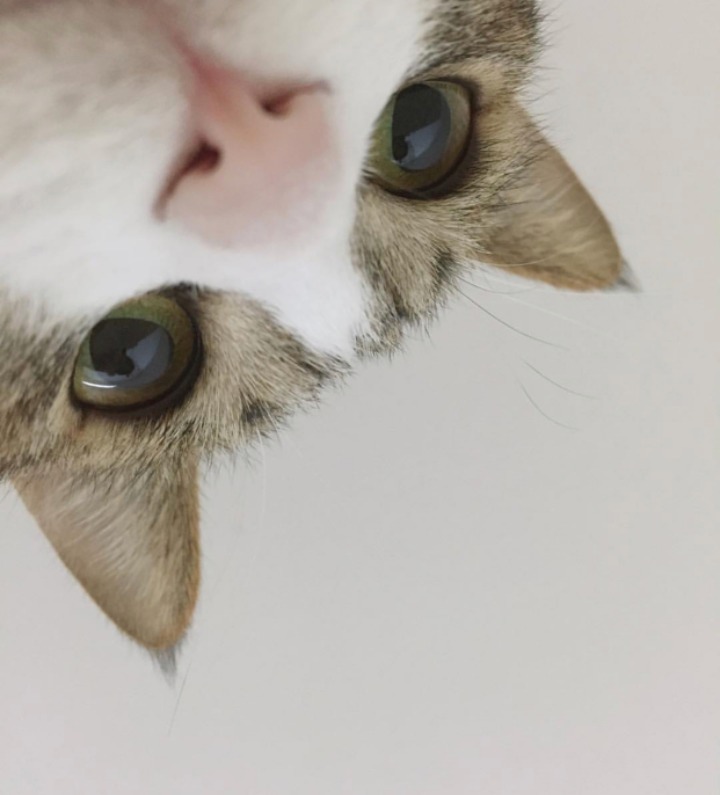 셀카 이미지