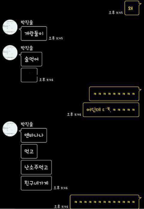 ???: 개랑 둘이 마시고잇어 | 인스티즈