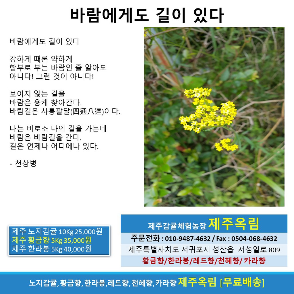 옥림 이미지