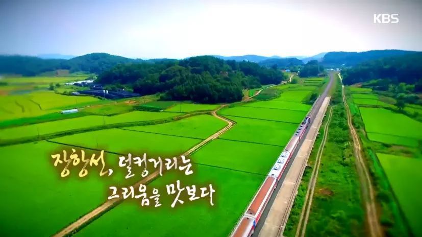 한국인의 밥상 - 장항선 | 인스티즈
