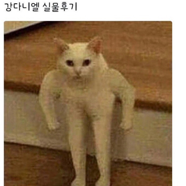같이 이미지