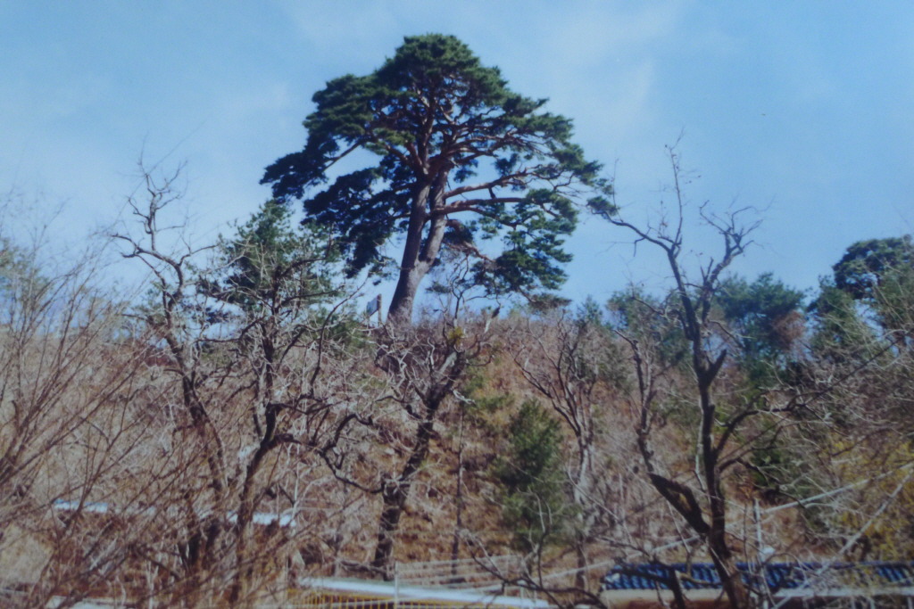 뱀사골산장 이미지