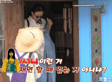 아이유의 패션 센스(feat.효리네민박) .gif | 인스티즈