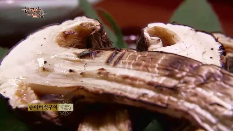 한국인의 밥상 - 백두대간 송이버섯 | 인스티즈